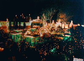 The glittering lights at Parmarth Niketan -- every tree, every arch, every passage was filled with colorful light. 